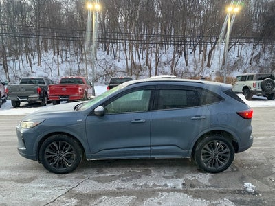 2024 Ford Escape ST-Line Elite