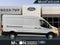 2024 Ford Transit Cargo Van 250