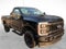 2025 Ford Super Duty F-350 SRW XL