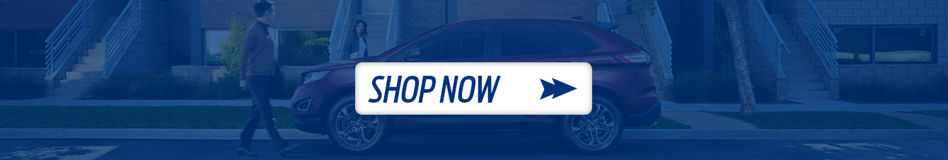 2018 Ford Edge in Moon Township