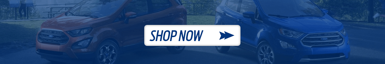 2018 Ford EcoSport in Moon Township