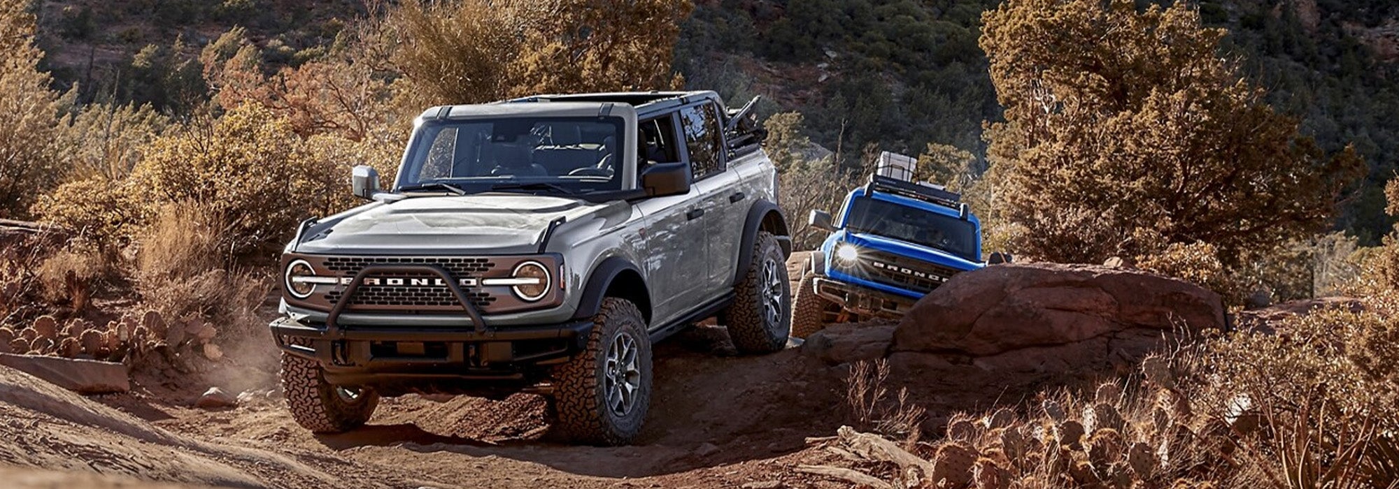 Ford Bronco Sasquatch vs. Jeep Wrangler 4xe Rubicon