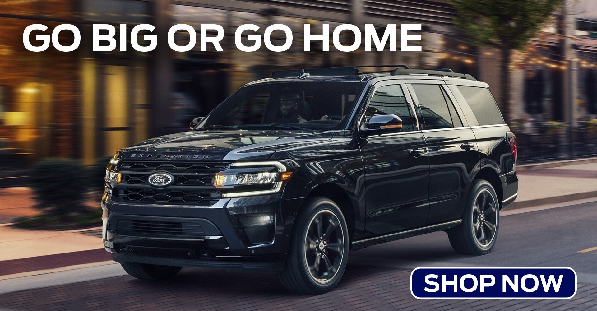 2025 Ford Expedition Pittsburg PA